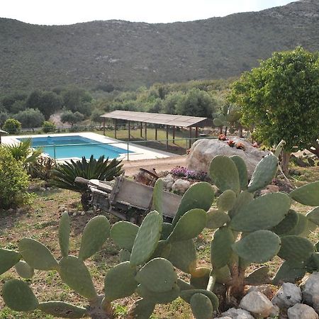 Vila Agriturismo Timpa Del Sole Noto Exteriér fotografie