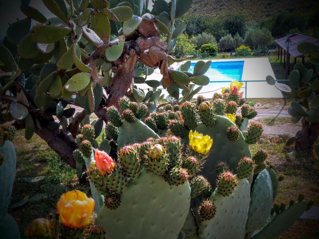 Vila Agriturismo Timpa Del Sole Noto Exteriér fotografie