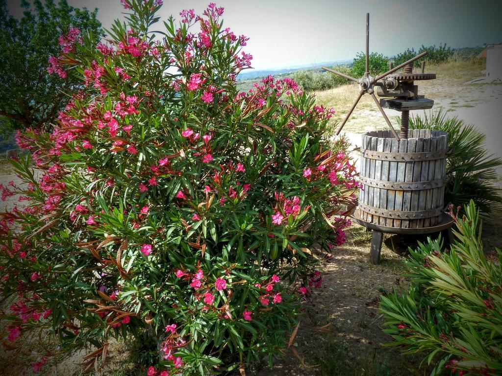 Vila Agriturismo Timpa Del Sole Noto Exteriér fotografie
